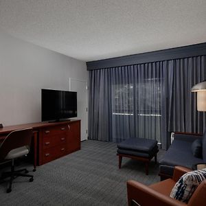 King Suite Sofa Bed